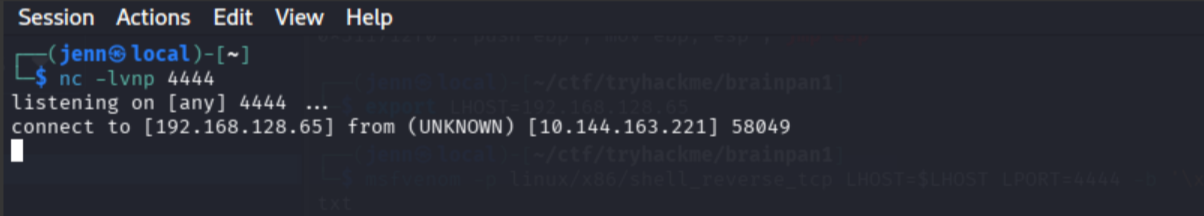 Netcat listener catching the reverse shell from the Brainpan overflow exploit